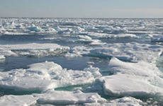 Корабль Кука уперся в пакове льды